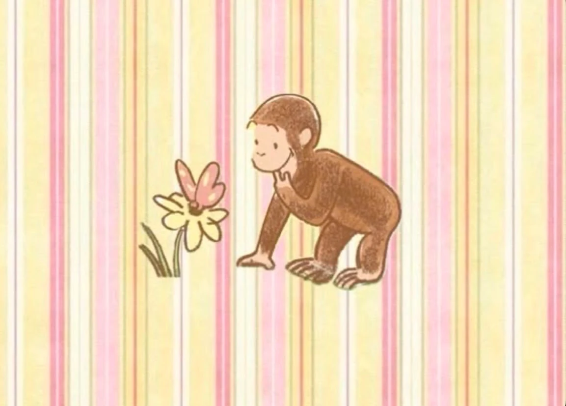Curious Biris shop shop banner