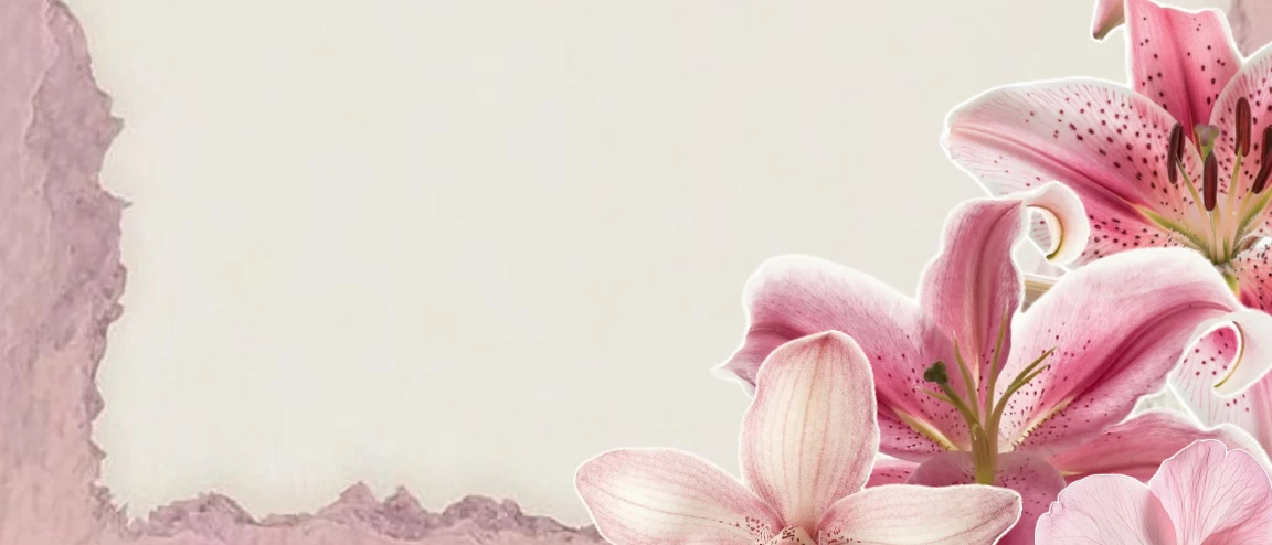 LunarCROArt shop banner