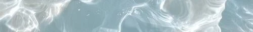 ::.surf shop.:: shop banner