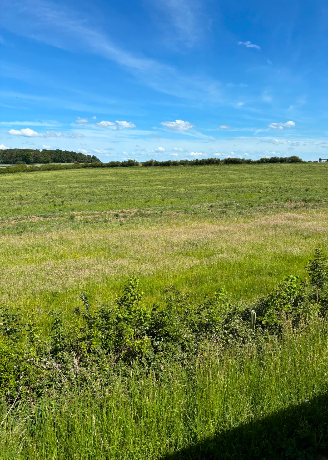 sstormdragon shop banner